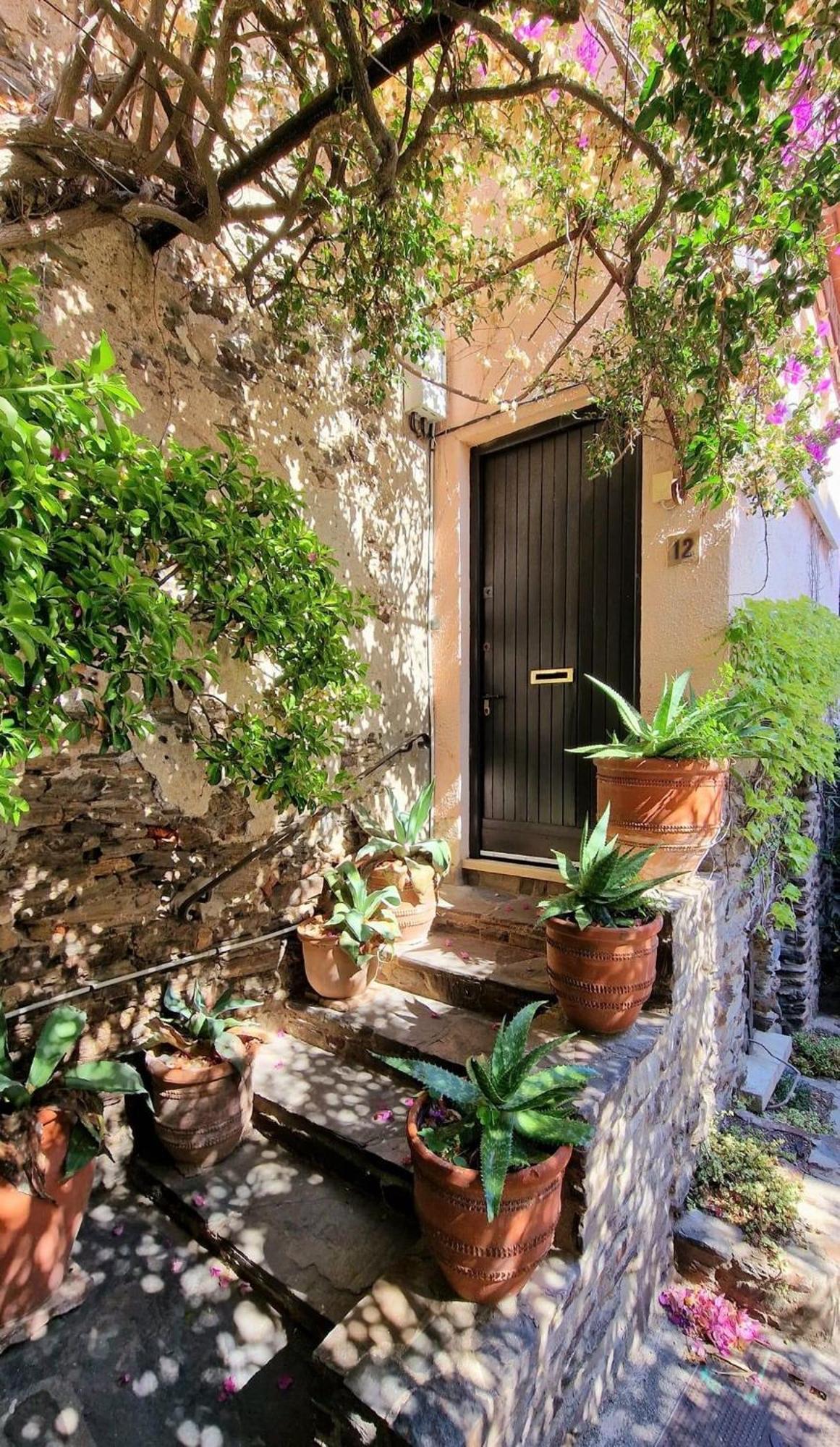 6Alz8 Appartement Pour 6 Personnes Collioure Dış mekan fotoğraf